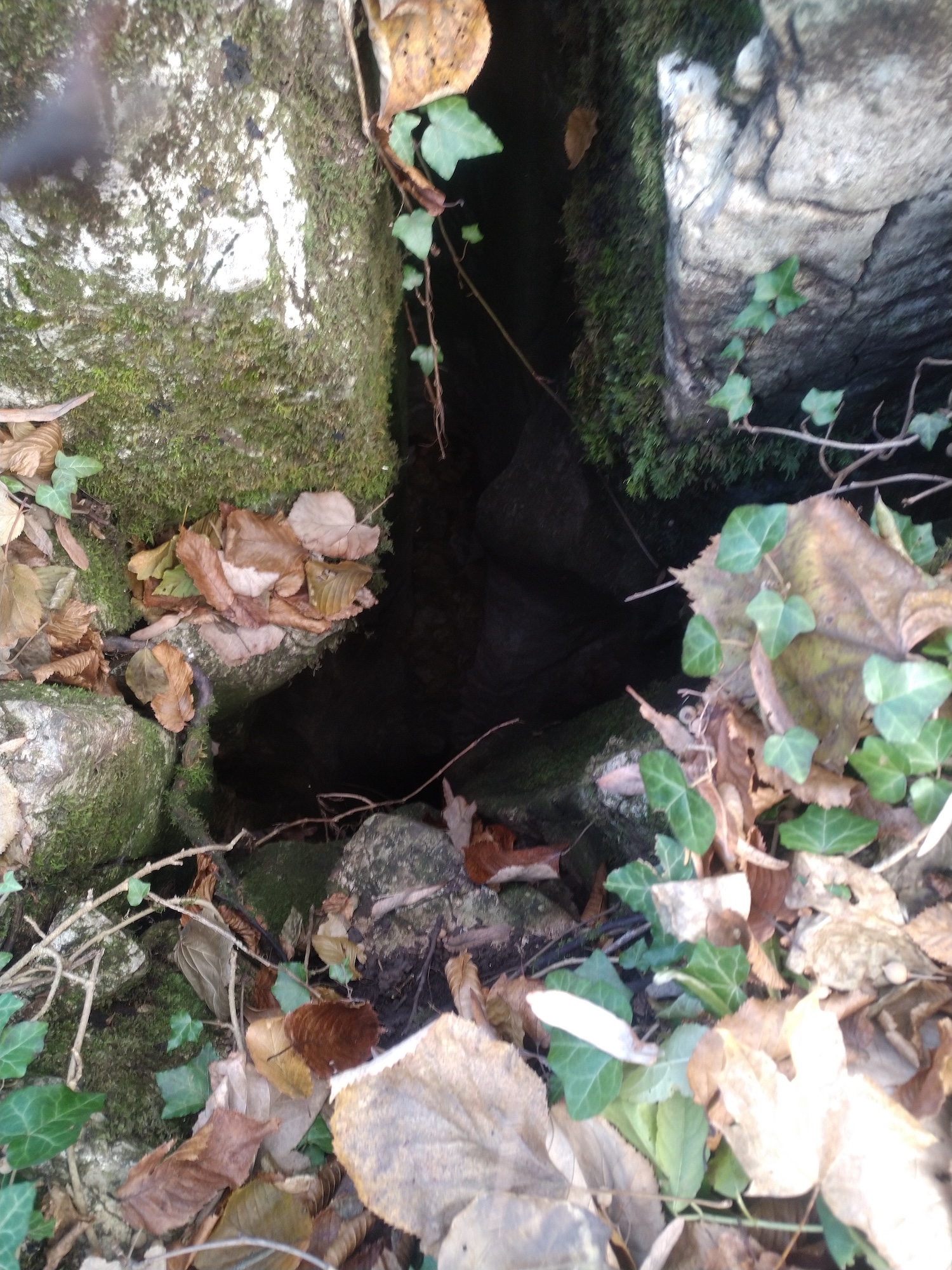 Avenul lui Didi - Image 4